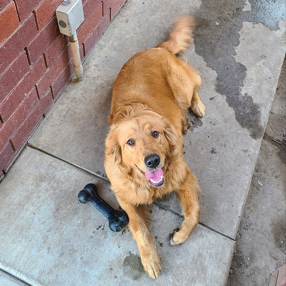 Meet your Posher, Jeffrey #11 - Picture 3 of 3